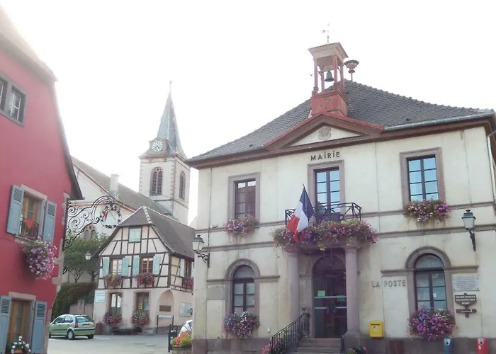 Gite Pinot